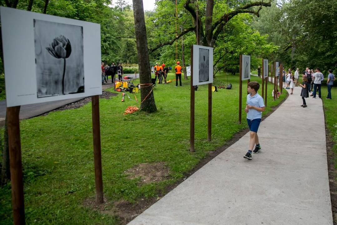 Kvapų naktis 2018