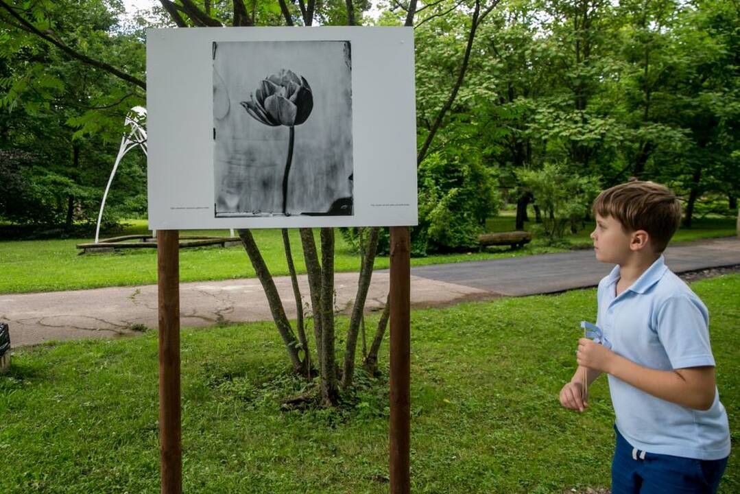 Kvapų naktis 2018