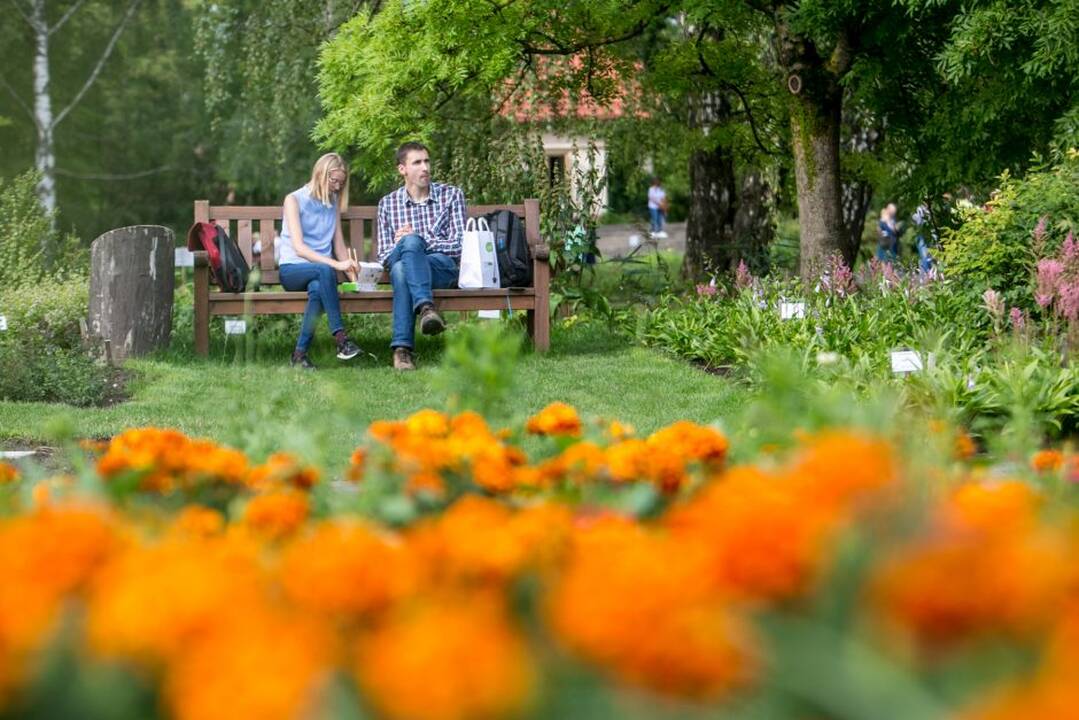 Kvapų naktis 2018