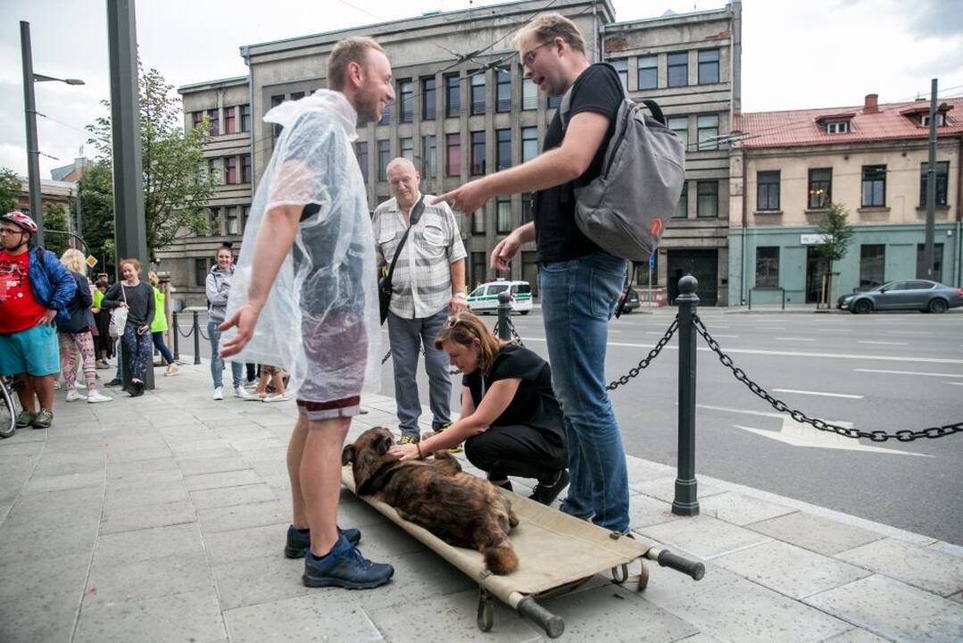 Netikėtumų festivalyje šturmuotas Parodos kalnas