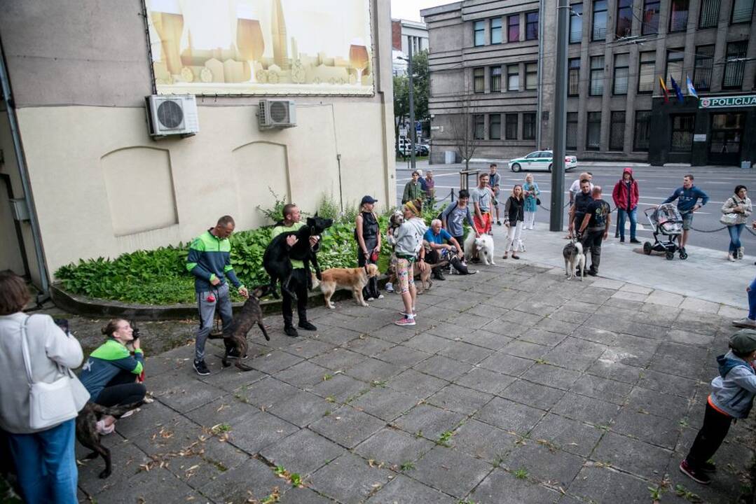 Netikėtumų festivalyje šturmuotas Parodos kalnas