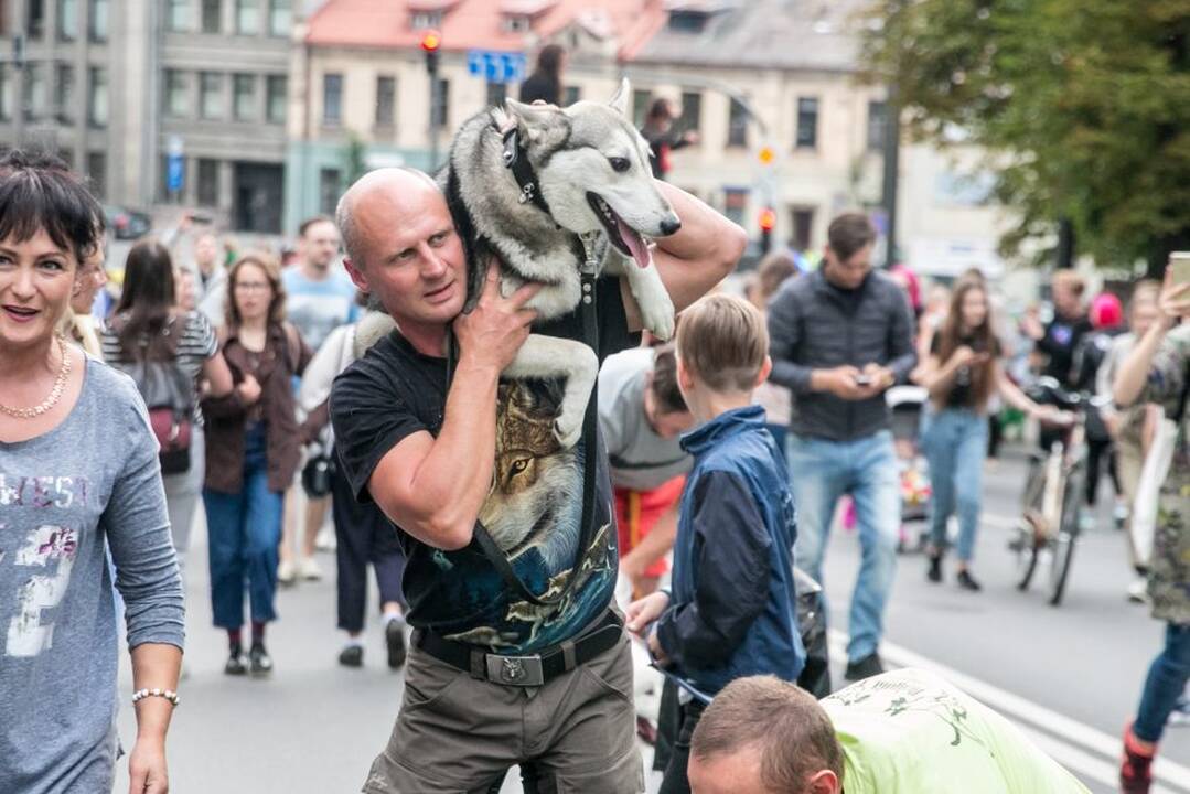 Netikėtumų festivalyje šturmuotas Parodos kalnas