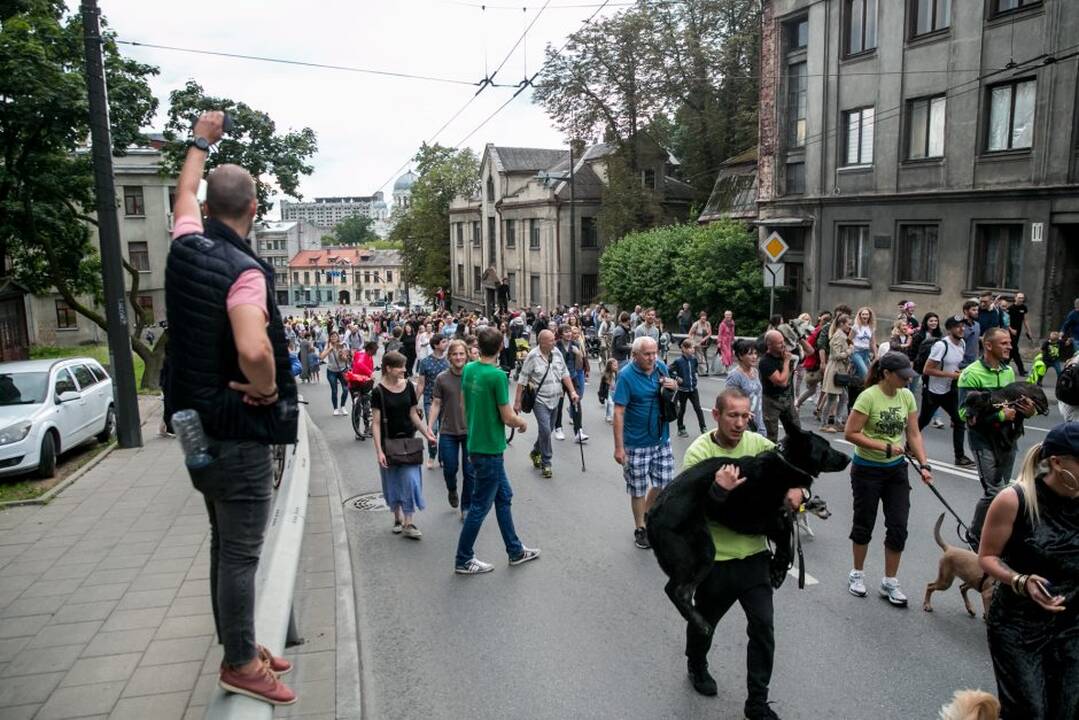 Netikėtumų festivalyje šturmuotas Parodos kalnas