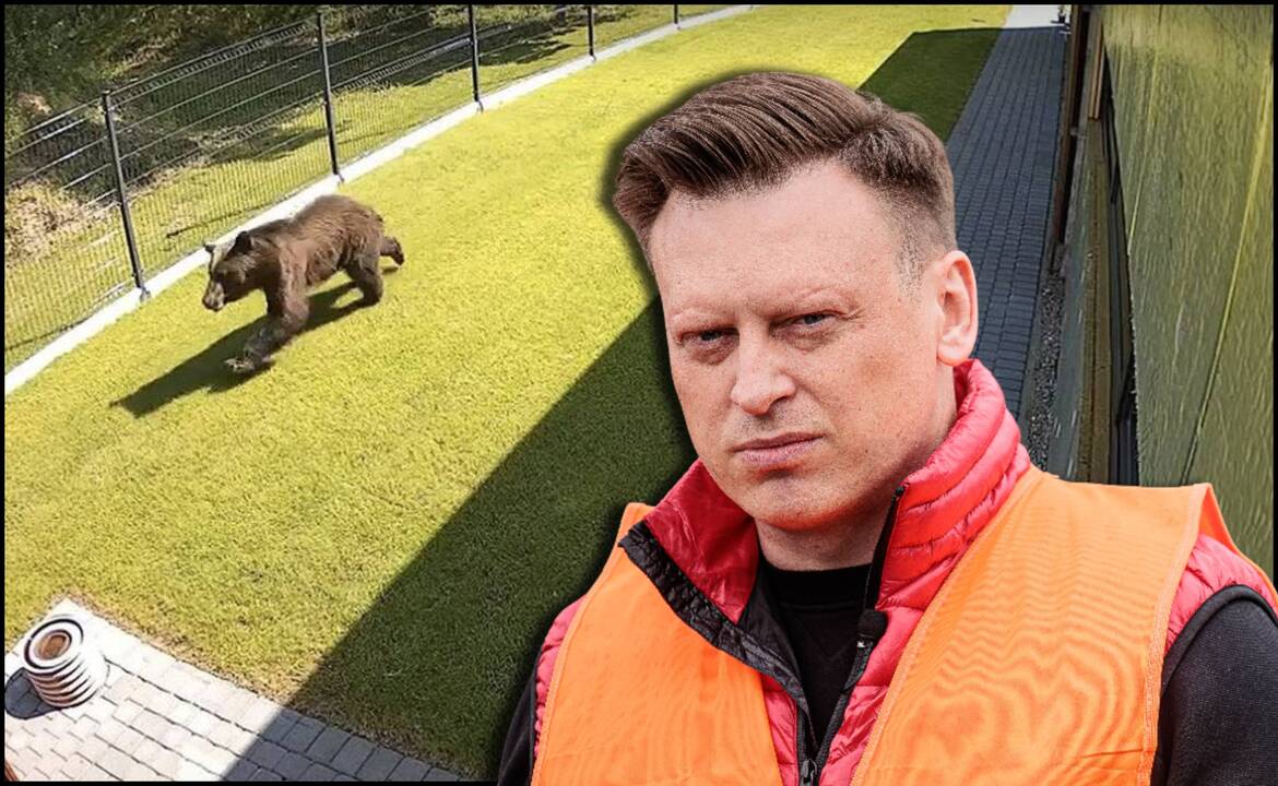 Iš sostinės mero – naujausia žinia apie mešką