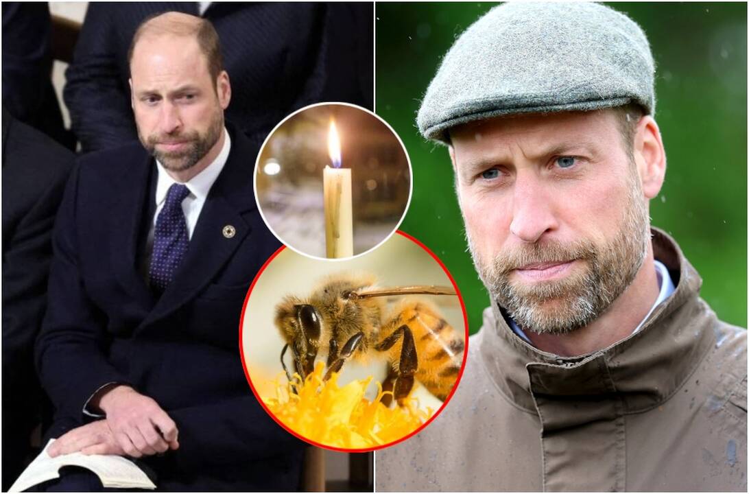 Princas Williamas išgyvena skaudžią netektį: artimas žmogus mirė prarijęs bitę
