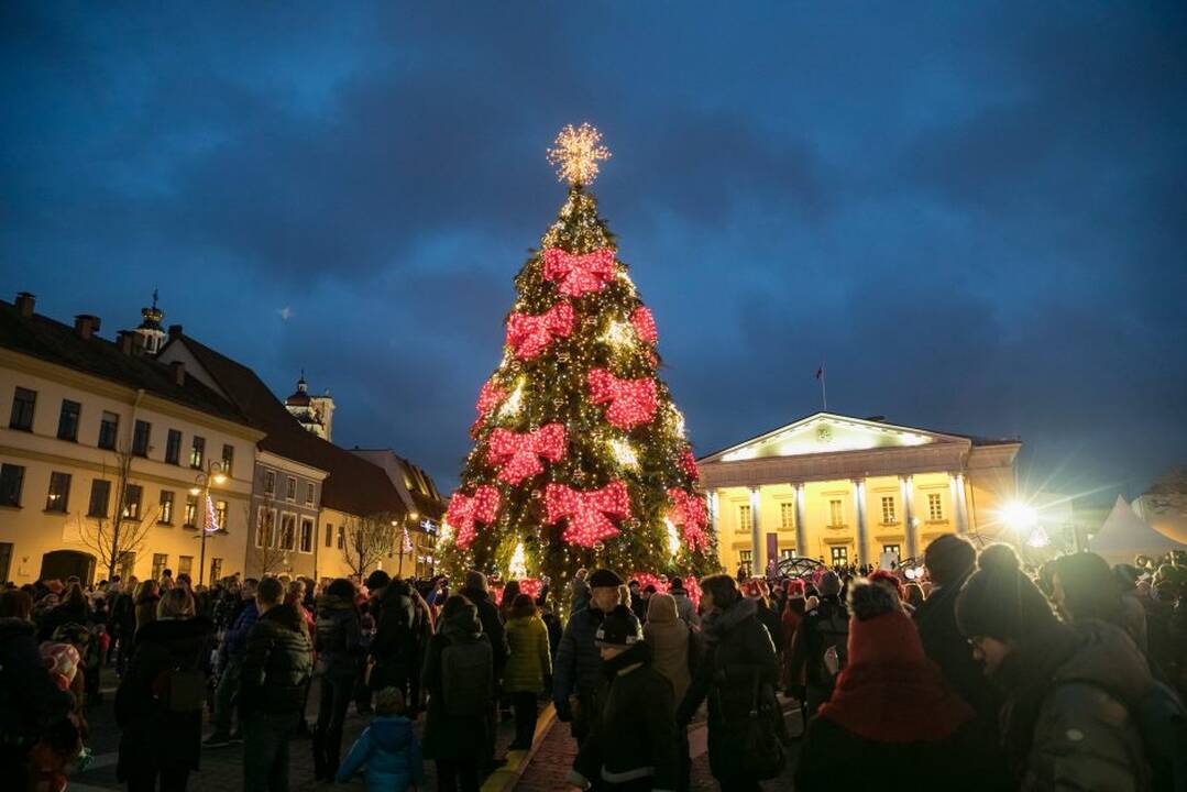 Sostinės Rotušės aikštėje įžiebta Kalėdų eglė