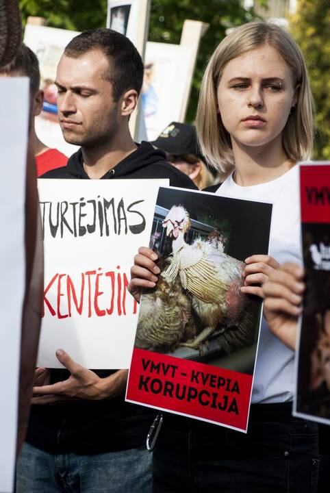 Protestas prie Maisto ir veterinarijos tarnybos