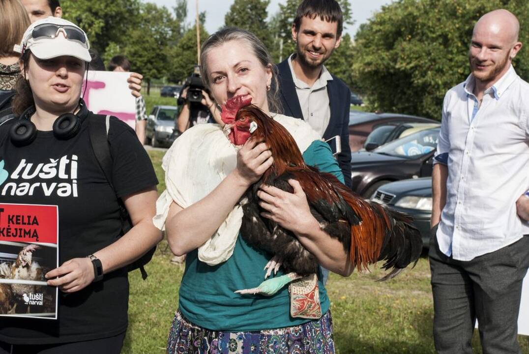 Protestas prie Maisto ir veterinarijos tarnybos