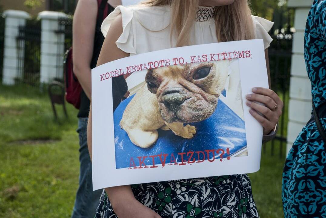 Protestas prie Maisto ir veterinarijos tarnybos