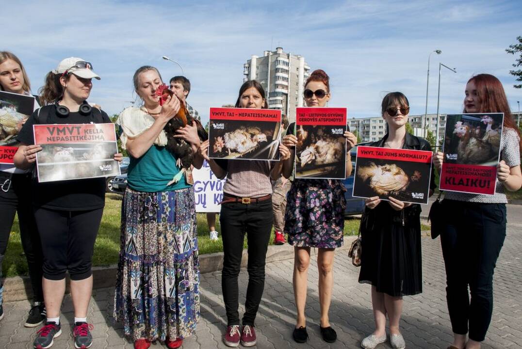 Protestas prie Maisto ir veterinarijos tarnybos