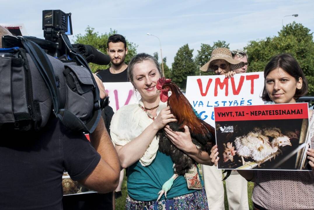 Protestas prie Maisto ir veterinarijos tarnybos
