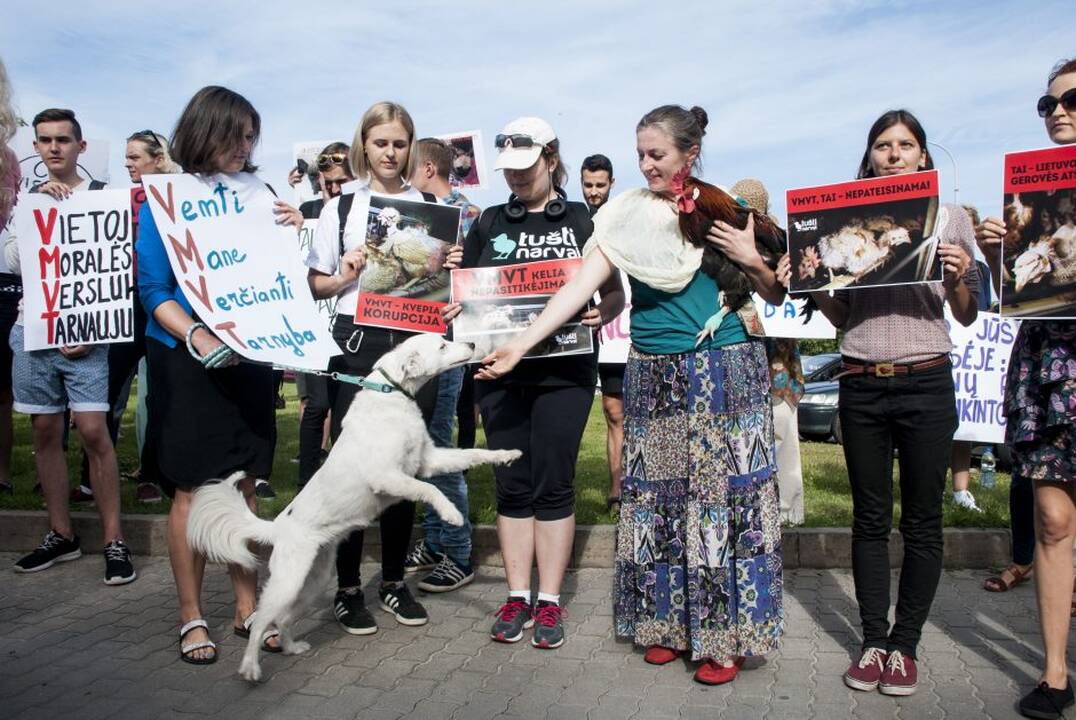Protestas prie Maisto ir veterinarijos tarnybos