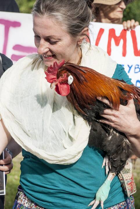 Protestas prie Maisto ir veterinarijos tarnybos