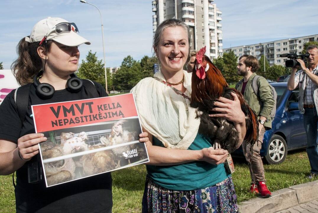 Protestas prie Maisto ir veterinarijos tarnybos
