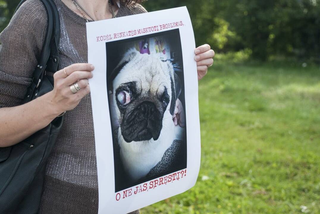 Protestas prie Maisto ir veterinarijos tarnybos