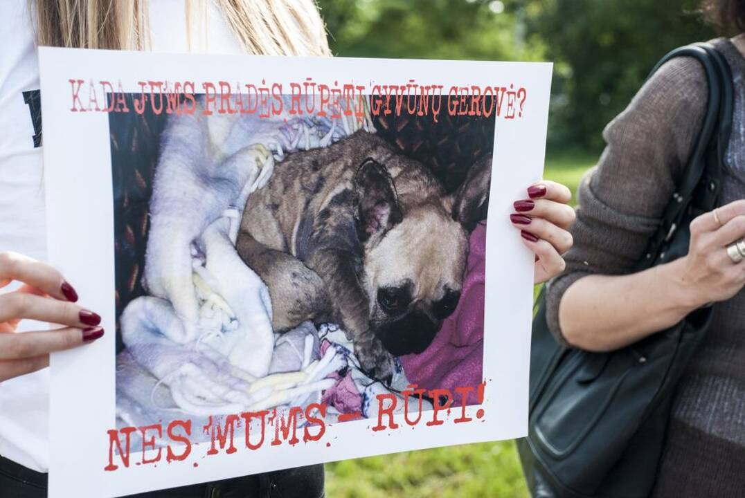 Protestas prie Maisto ir veterinarijos tarnybos