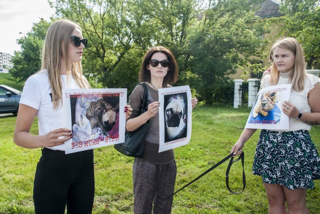 Protestas prie Maisto ir veterinarijos tarnybos