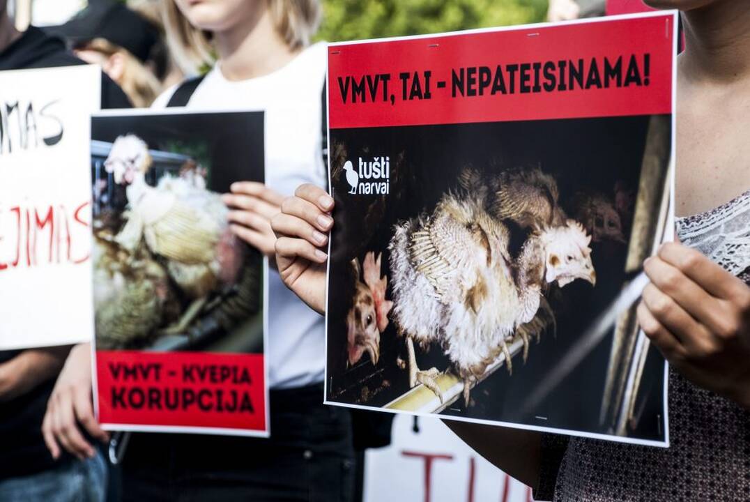Protestas prie Maisto ir veterinarijos tarnybos