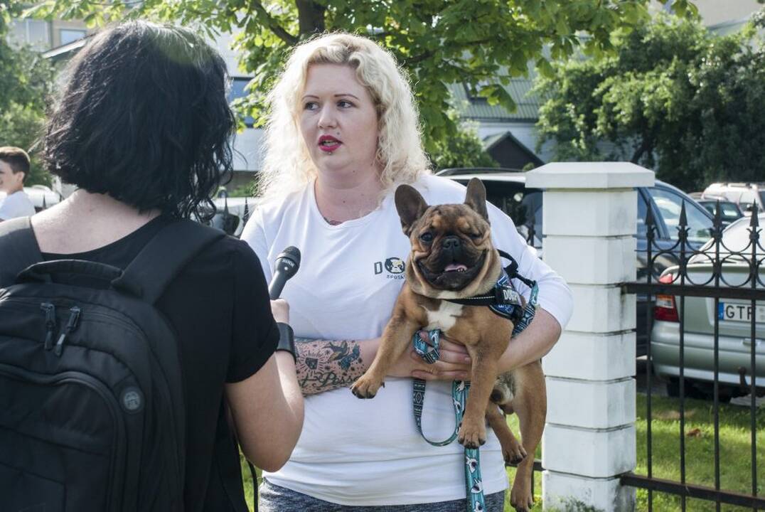 Protestas prie Maisto ir veterinarijos tarnybos