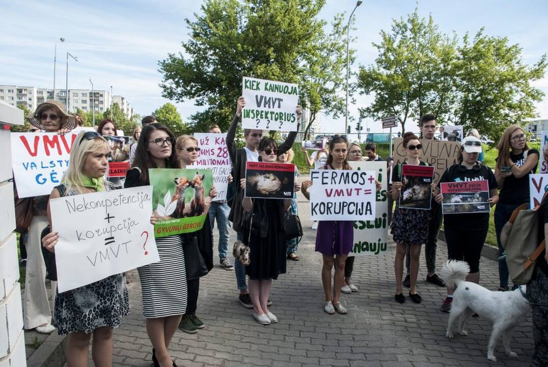 Protestas prie Maisto ir veterinarijos tarnybos