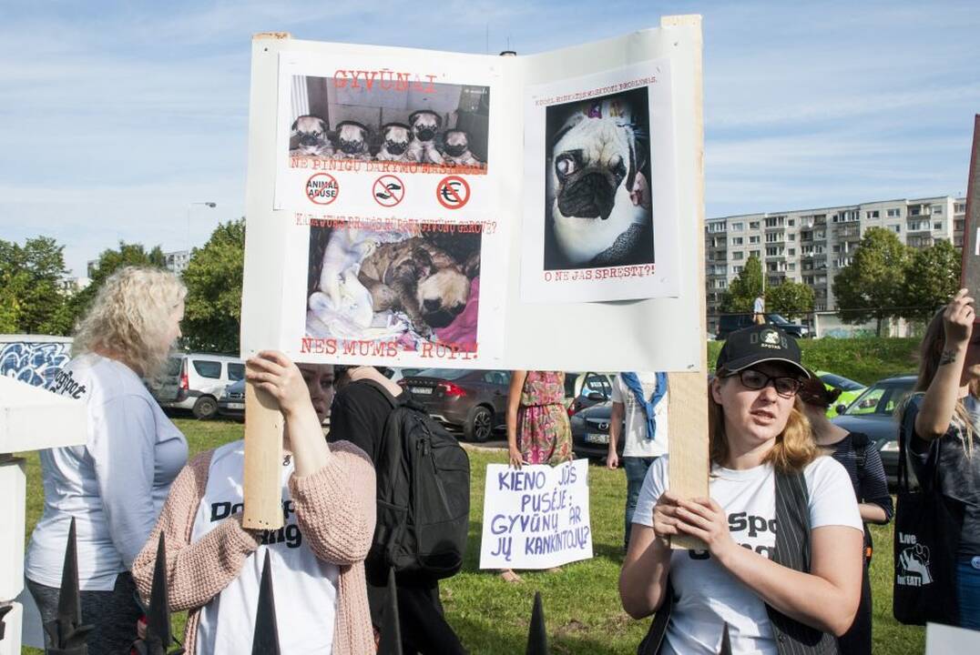 Protestas prie Maisto ir veterinarijos tarnybos
