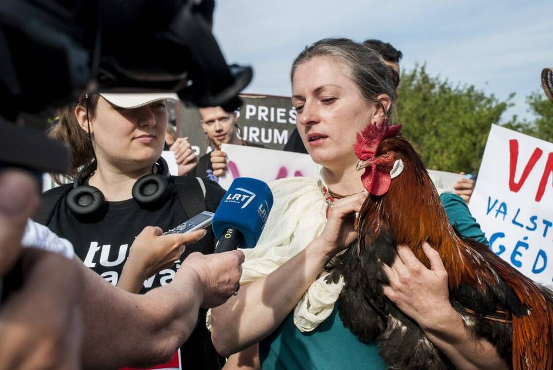 Protestas prie Maisto ir veterinarijos tarnybos