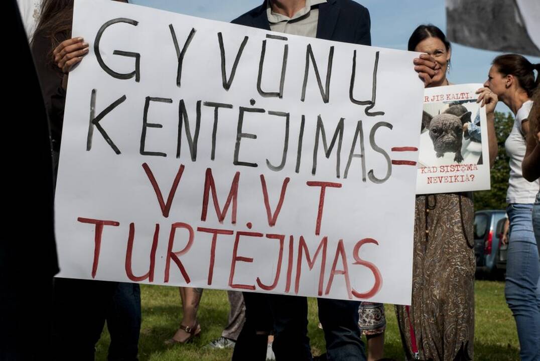 Protestas prie Maisto ir veterinarijos tarnybos