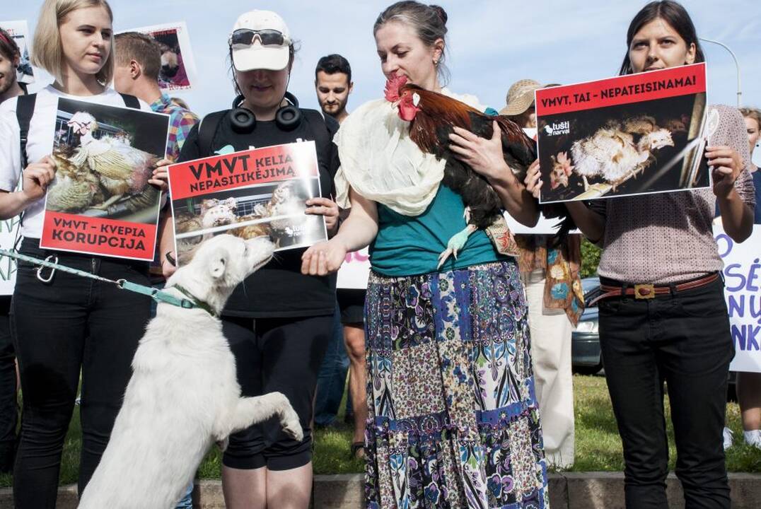 Protestas prie Maisto ir veterinarijos tarnybos