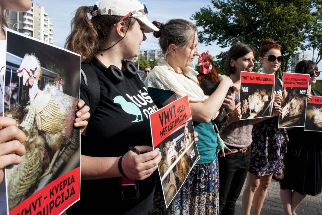 Protestas prie Maisto ir veterinarijos tarnybos