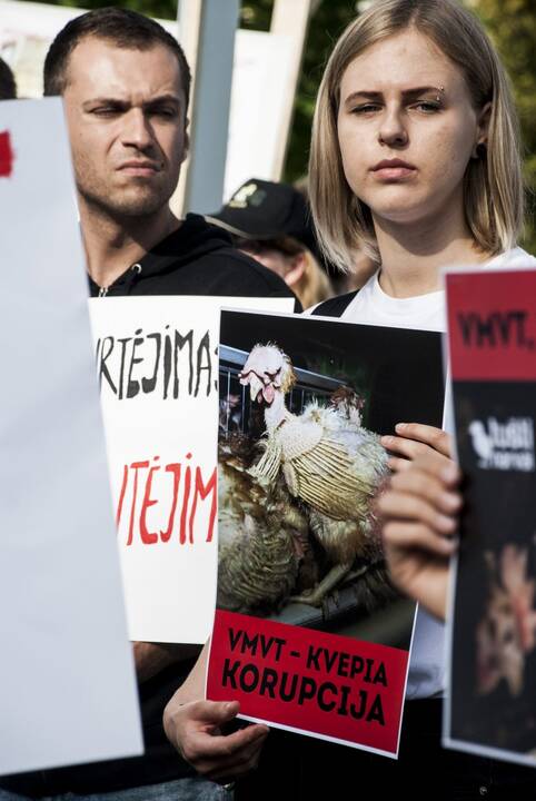 Protestas prie Maisto ir veterinarijos tarnybos