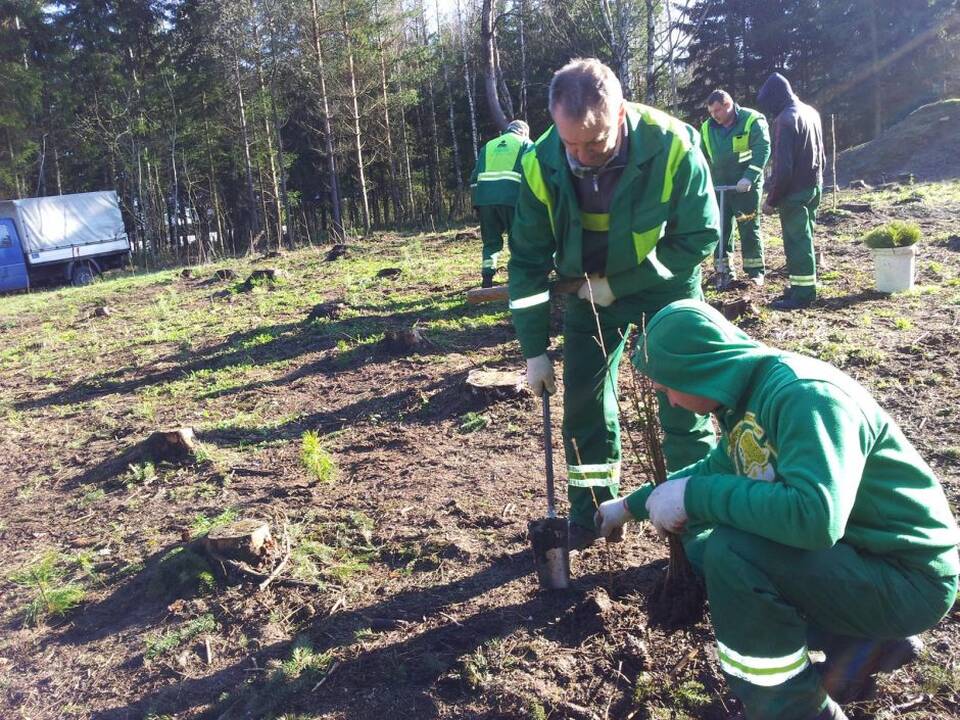 Skubota urėdijų reforma nepatenkinti miškininkai surengė piketą
