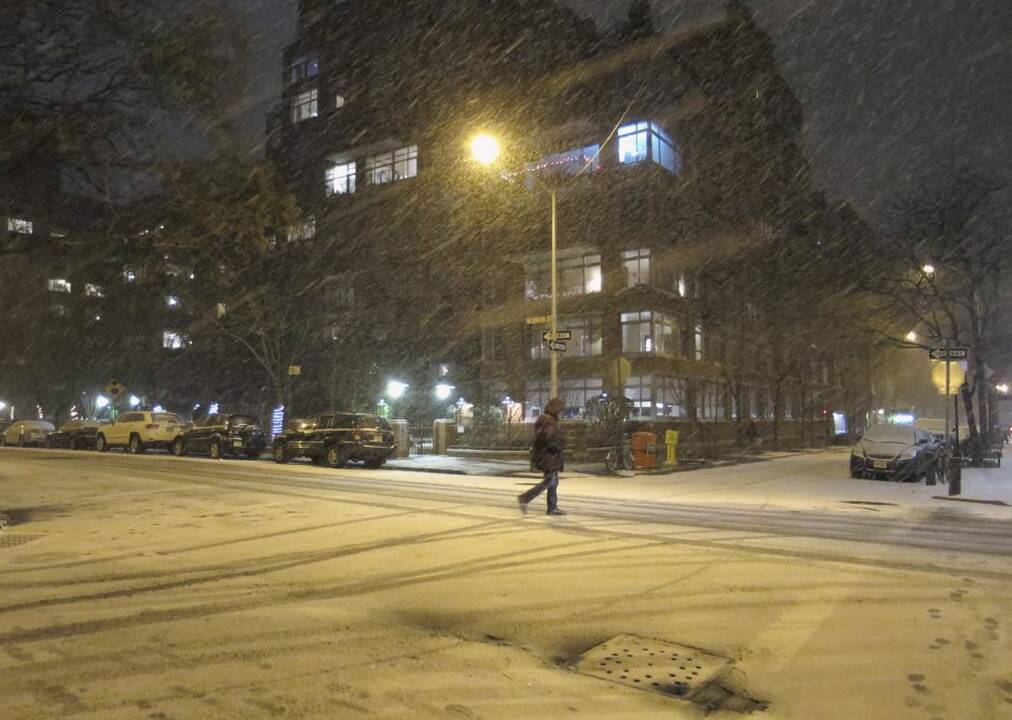 JAV šiaurės rytų regioną apėmė smarki pūga