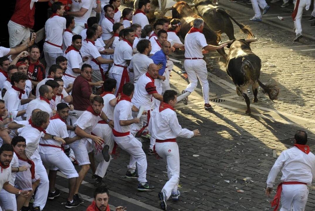 Pirmasis San Fermino festivalio bulių bėgimas