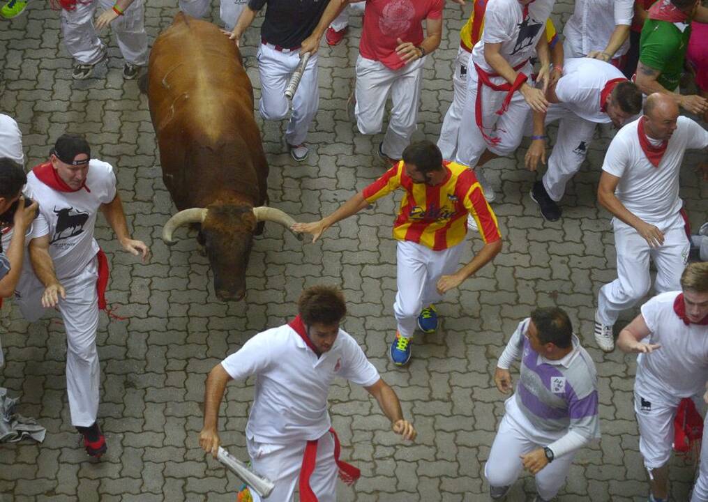 Pirmasis San Fermino festivalio bulių bėgimas