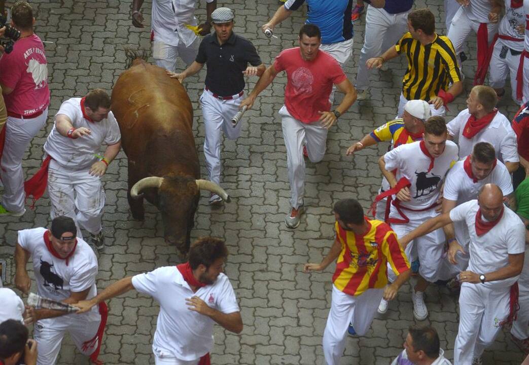Pirmasis San Fermino festivalio bulių bėgimas