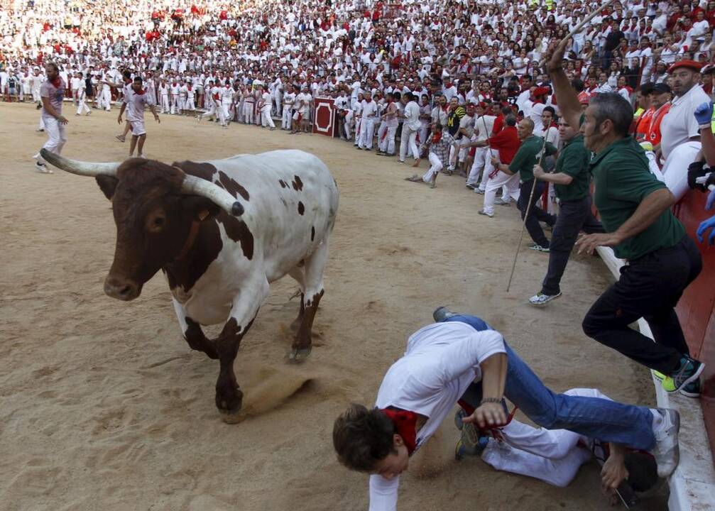 Pirmasis San Fermino festivalio bulių bėgimas