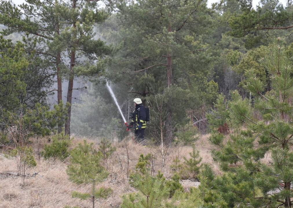 Kuršių nerijoje – miško gaisro imitacija