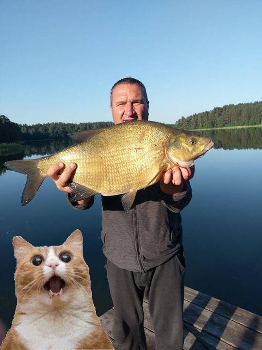 Darius Žukauskas