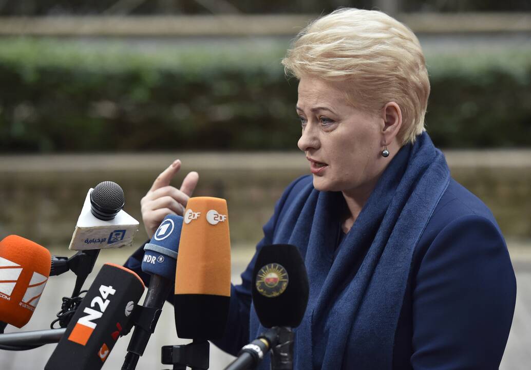 D. Grybauskaitė JAV susitiks su Ukrainos ir Moldovos vadovais