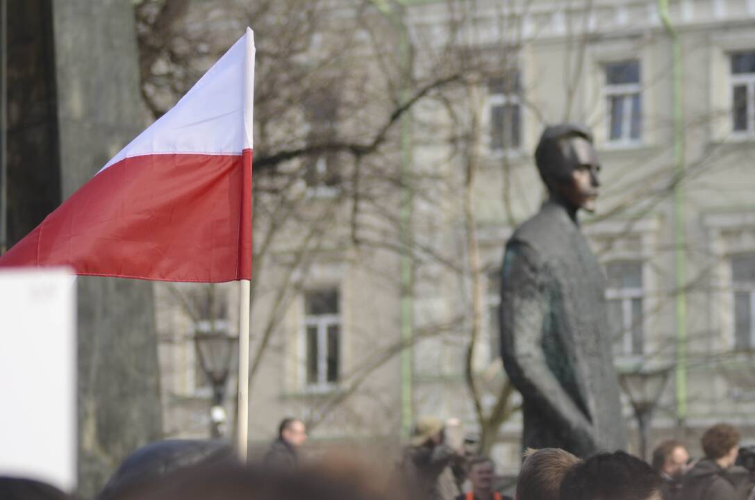 Užsienio reikalų ministras: Lietuva šmeižiama dėl lenkų švietimo