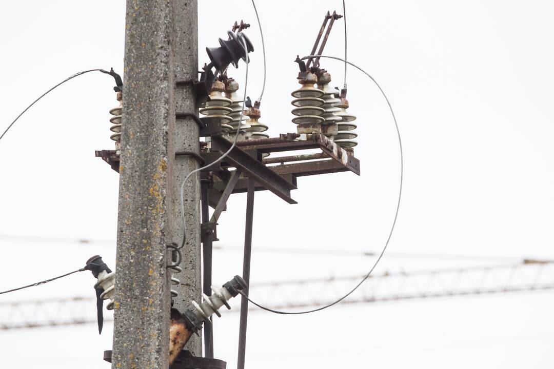 Elektros liniją gali atjungti ir bebras