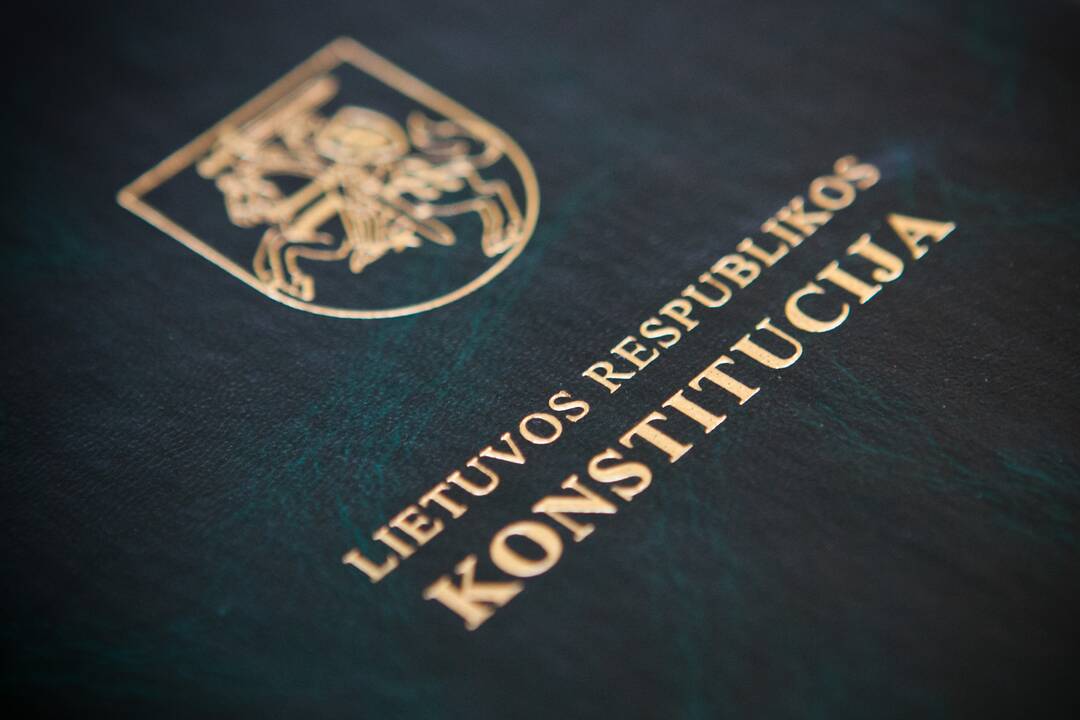 Prezidentė: pagarba Konstitucijai - laisvos, demokratiškos, stiprios Lietuvos ateitis