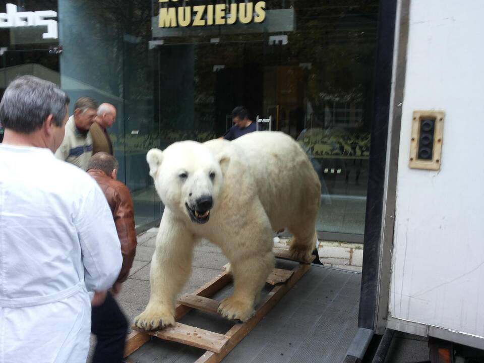 Kasparas persikėlė į T.Ivanausko zoologijos muziejų