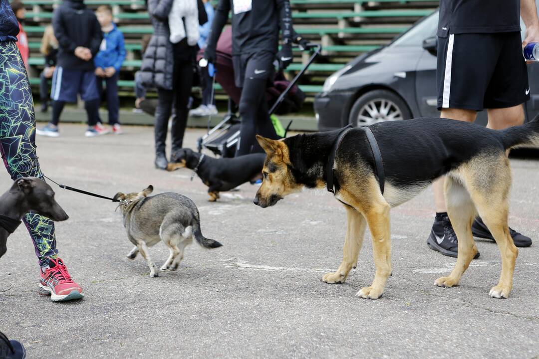 „Linksmųjų pėdučių“ bėgimas 2018