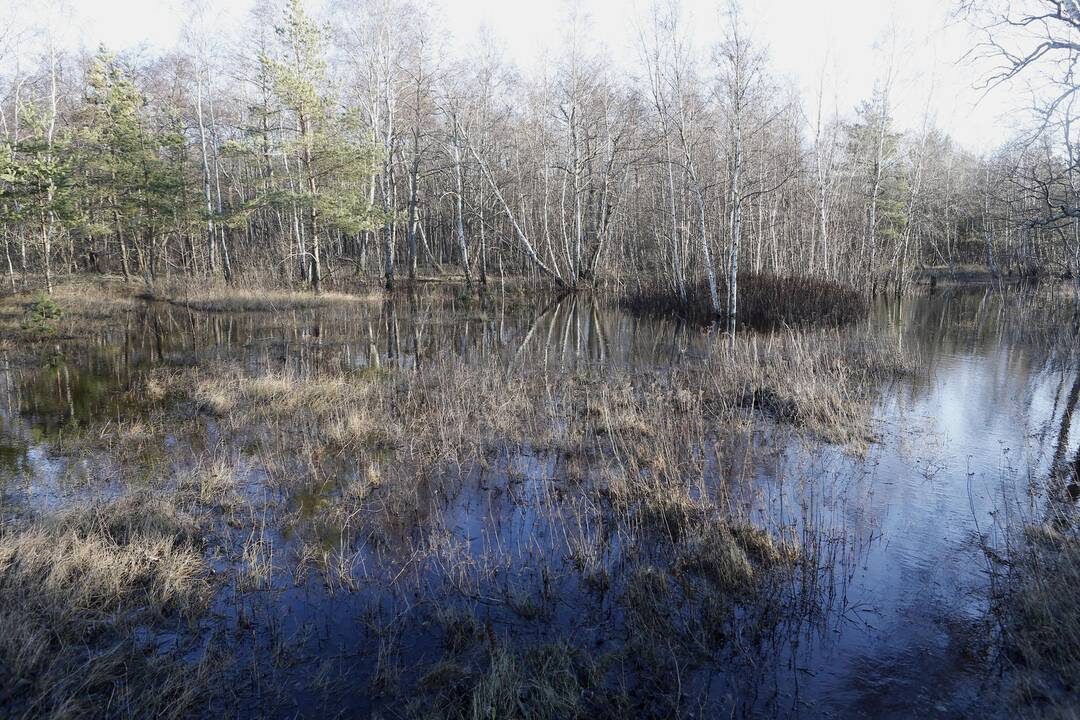Kopose – vandens telkinys