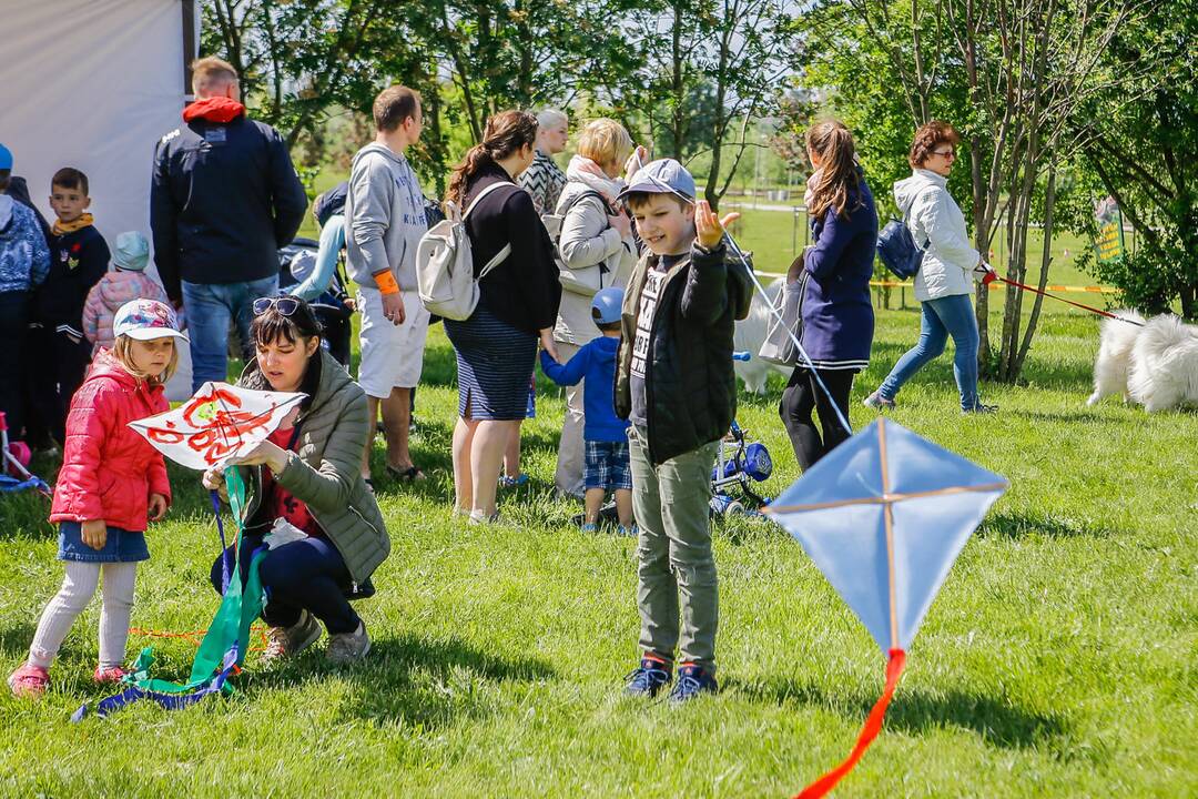 Aitvarų festivalis Klaipėdoje