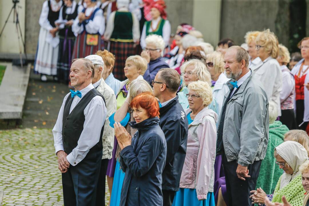 Baltų vienybės diena