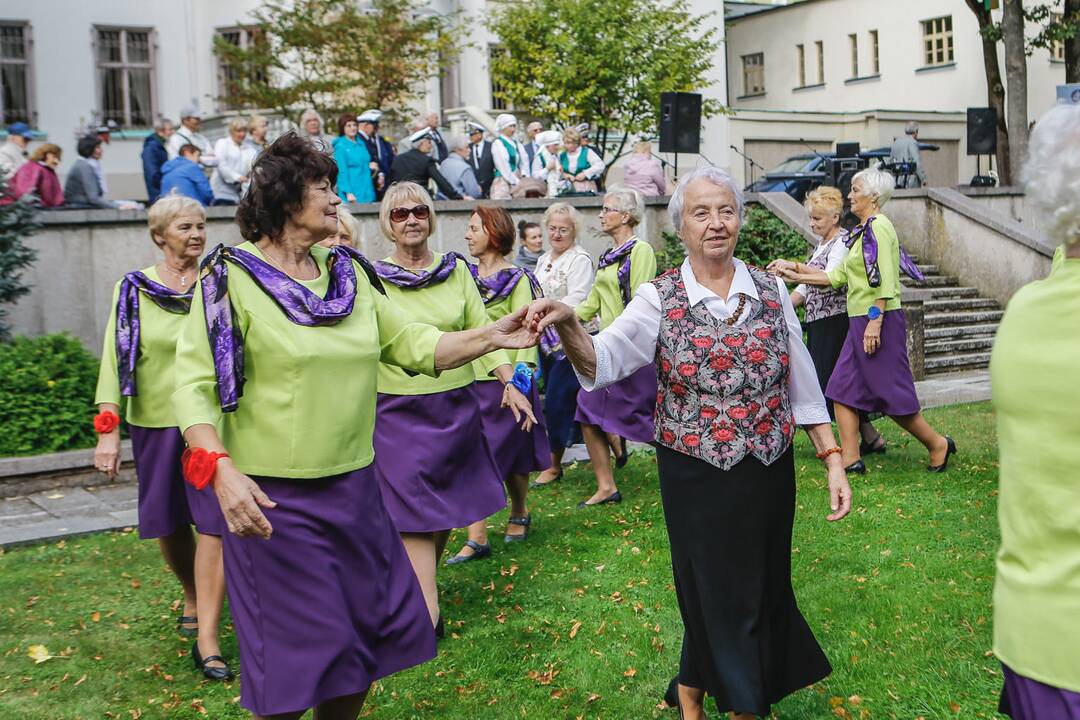 Baltų vienybės diena