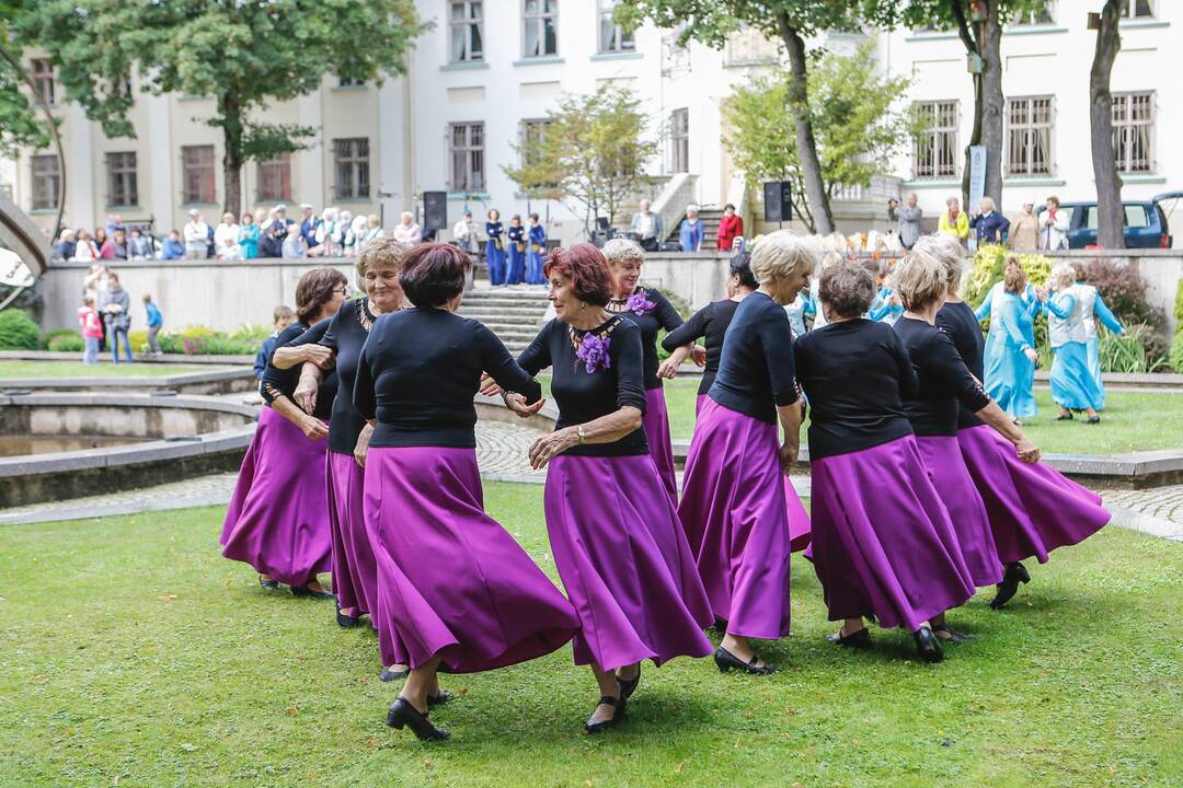 Baltų vienybės diena