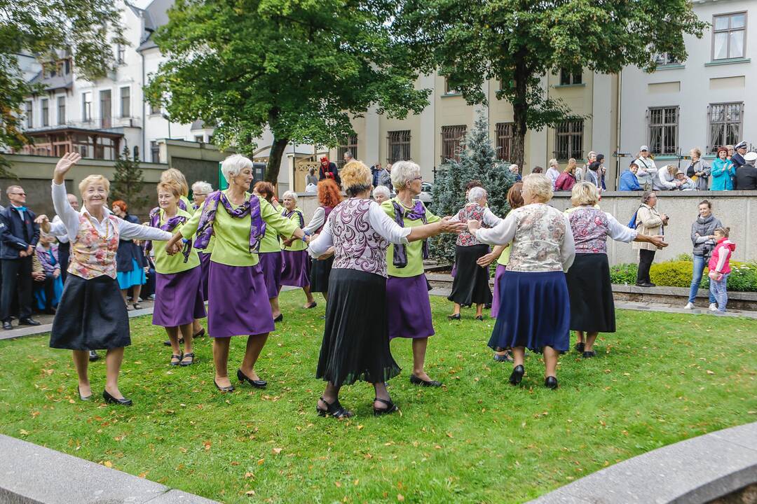 Baltų vienybės diena